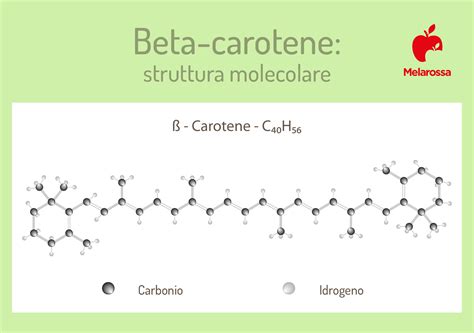 Struttura molecolare dei beta-glucani