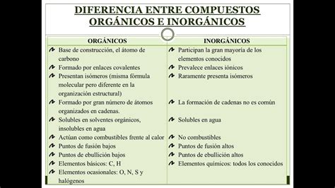 Schema comparativo tra magnesio organico e inorganico