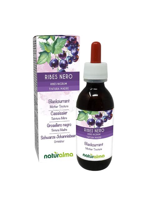 Infografica sui benefici del ribes nero