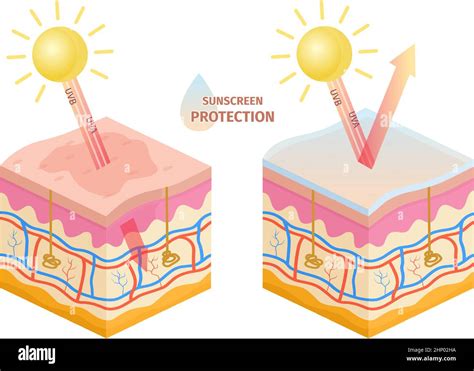 Schema di protezione solare UVA/UVB