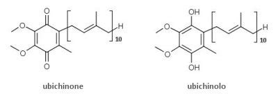 Struttura chimica del Coenzima Q10 e Ubichinolo