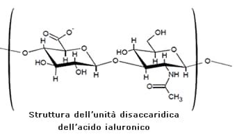 Struttura molecolare dell'acido poliglutammico e dell'acido ialuronico
