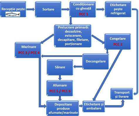 Diagrama fluxului de producție a esenței de propolis