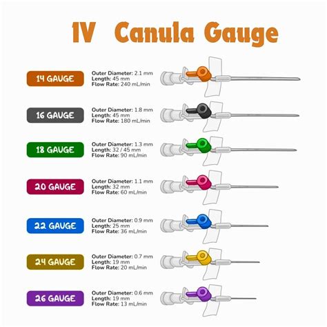 Schema illustrativo delle modalità di applicazione di THD Cream con cannula