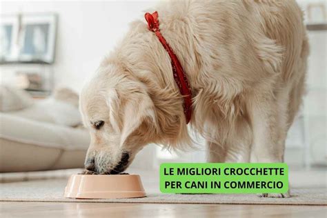 Cucciolo sano che mangia crocchette