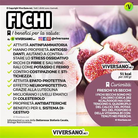 Infografica sui benefici e controindicazioni del Fucus