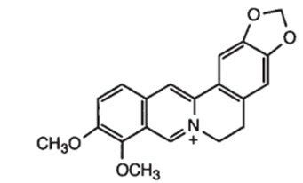 Struttura chimica della berberina