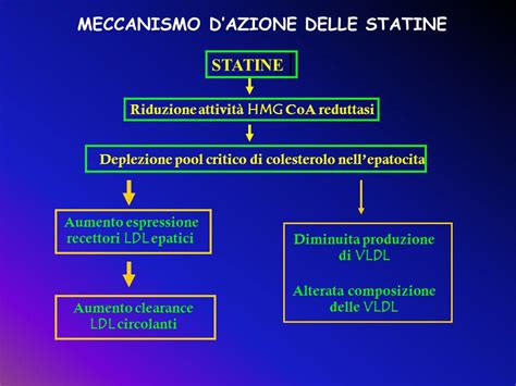 Schema comparativo dei meccanismi d'azione della Berberina e delle Statine