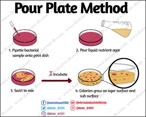 Schema della tecnica di conta su piastra (Pour Plate e Spread Plate)