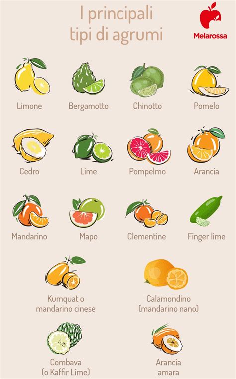 Infografica sui benefici degli agrumi