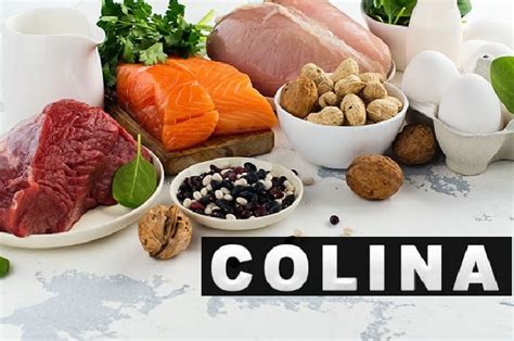 Fonti alimentari di colina