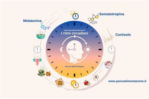 Schema dei ritmi circadiani influenzati dalla melatonina