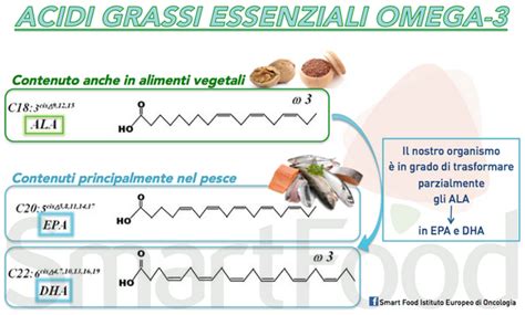 Infografica sulla composizione degli acidi grassi Omega-3