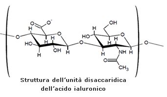 Struttura molecolare dell'acido ialuronico e delle ceramidi