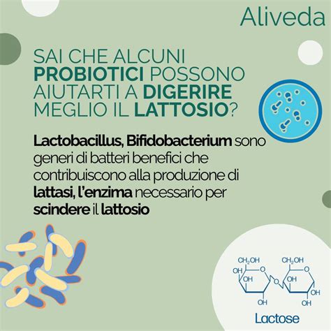 Mappa dei benefici del Bifidobacterium animalis per la salute