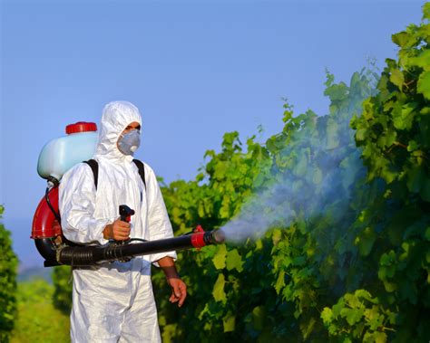 Schema di applicazione fogliare di prodotti fitosanitari