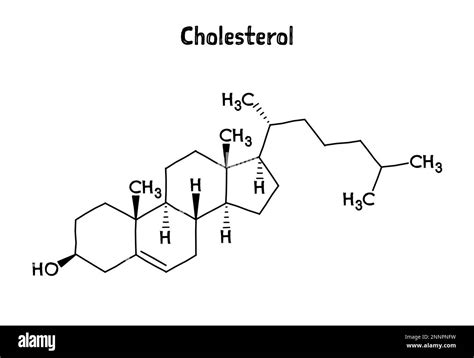 Schema sul funzionamento del colesterolo