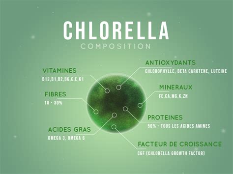 Infografica sulla composizione nutrizionale della clorella