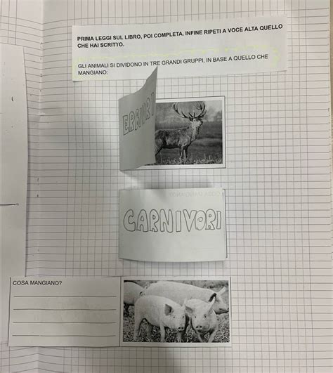 Schema comparativo della lunghezza dell'intestino tra carnivoro, onnivoro ed erbivoro