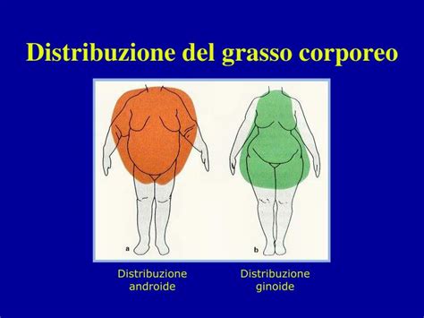 Distribuzione del grasso corporeo: a pera vs addominale