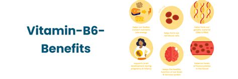 Schema dei benefici della vitamina B6