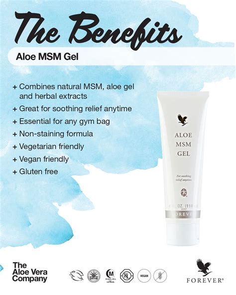 Schematic representation of Aloe MSM Gel benefits