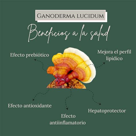 Infografica sui componenti del caffè con Ganoderma Lucidum