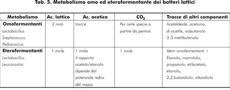 Schema dei batteri lattici omofermentanti ed eterofermentanti