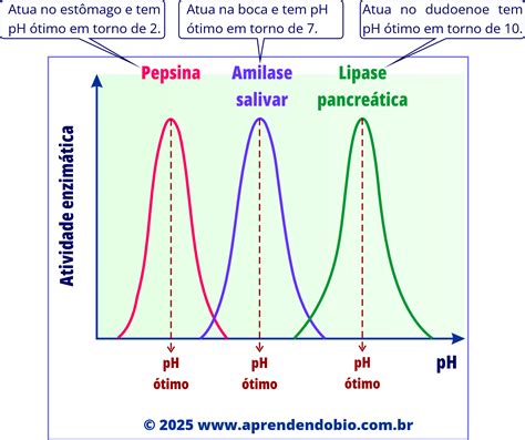Grafico dell'influenza del pH sull'attività enzimatica nella panificazione