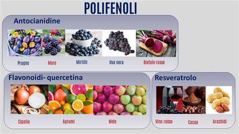 Grafico comparativo delle proprietà del resveratrolo e altri polifenoli
