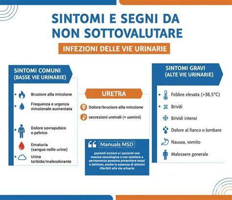 Infografica sul funzionamento delle vie urinarie